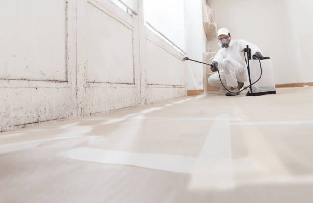 24/7 Emergency Crawl Space Mold Remediation experts in Ashburn, VA