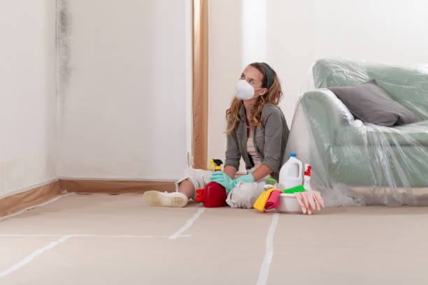 Reliable Crawl Space Mold Remediation contractor in Ashburn, VA by 24 Hour Mold Removal