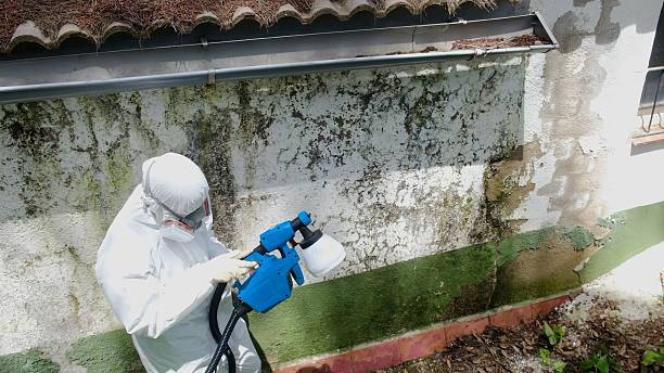 Top rated local Crawl Space Mold Remediation specialists in Ashburn, VA